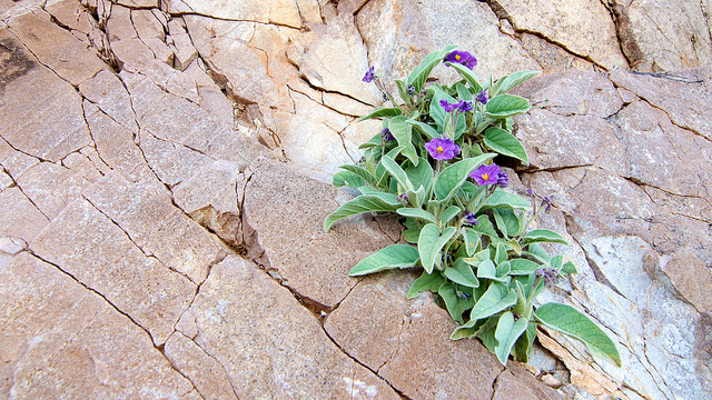 5591934244_c9fc2d8412_z