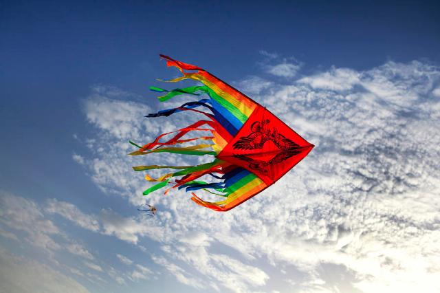 kite-flying-high-in-a-blue-sky-larisa-kroshkin