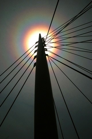 650_76068274596_1449735_n