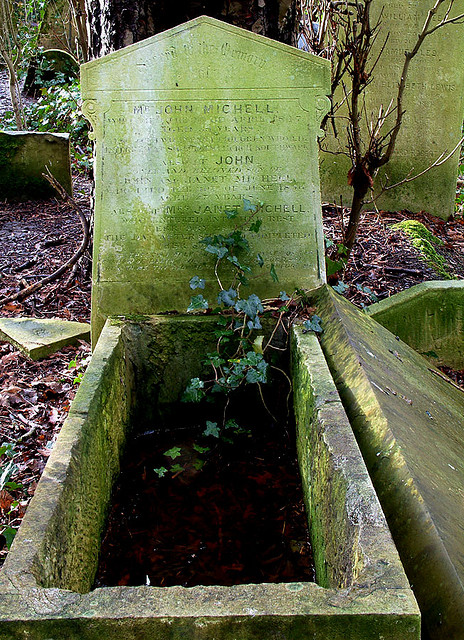 387002499_f33915c266_z