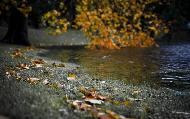 Autumn-River-Bank