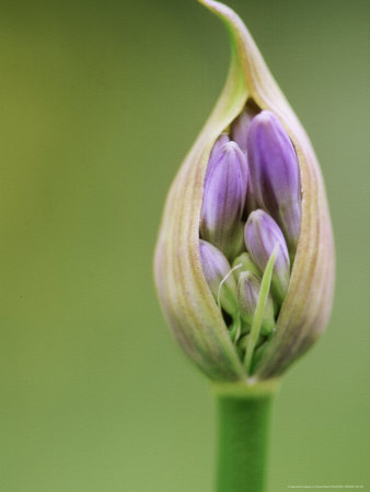 gpdr01-00000031-001-fb