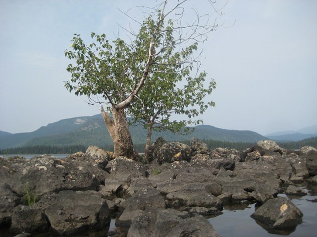 Zettergreen-IMG_4931-sm