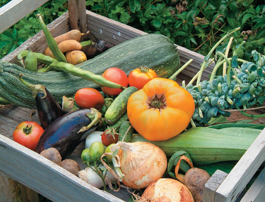 BCGardens_vegetables_box