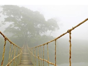 $(KGrHqF,!p8E-61iFZtyBQFYuGLNnw~~60_35