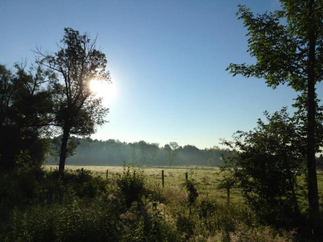 12061_10151721634725901_477138869_n