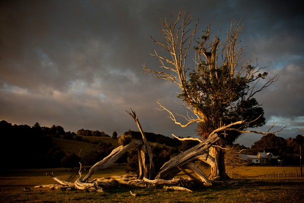 TvyamNb-BivtNwcoxtkc5xGBuGkIMh_nj4UJHQKuor5VWdHgf38rHtuspIJdAUUJ9PiFMGyAN5uF3Q