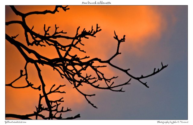 http://yellowcaseartist.deviantart.com/art/tree-branch-silhouette-150623670