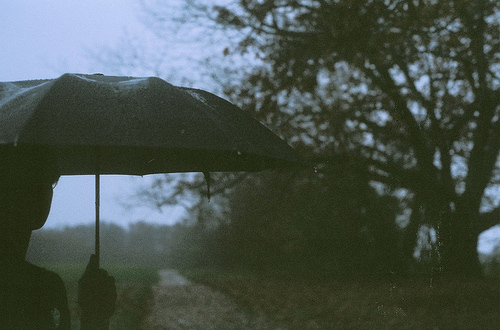 boy-girl-rain-sky-trees-umbrella-favim-com-76747