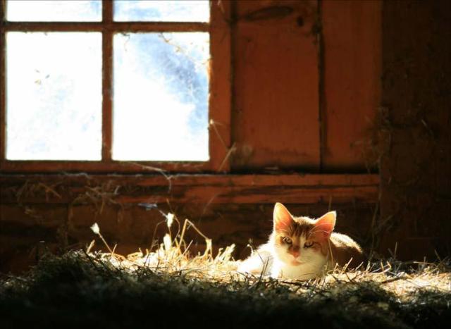 230722_d864348159938d6006904f5f37768e0c_large